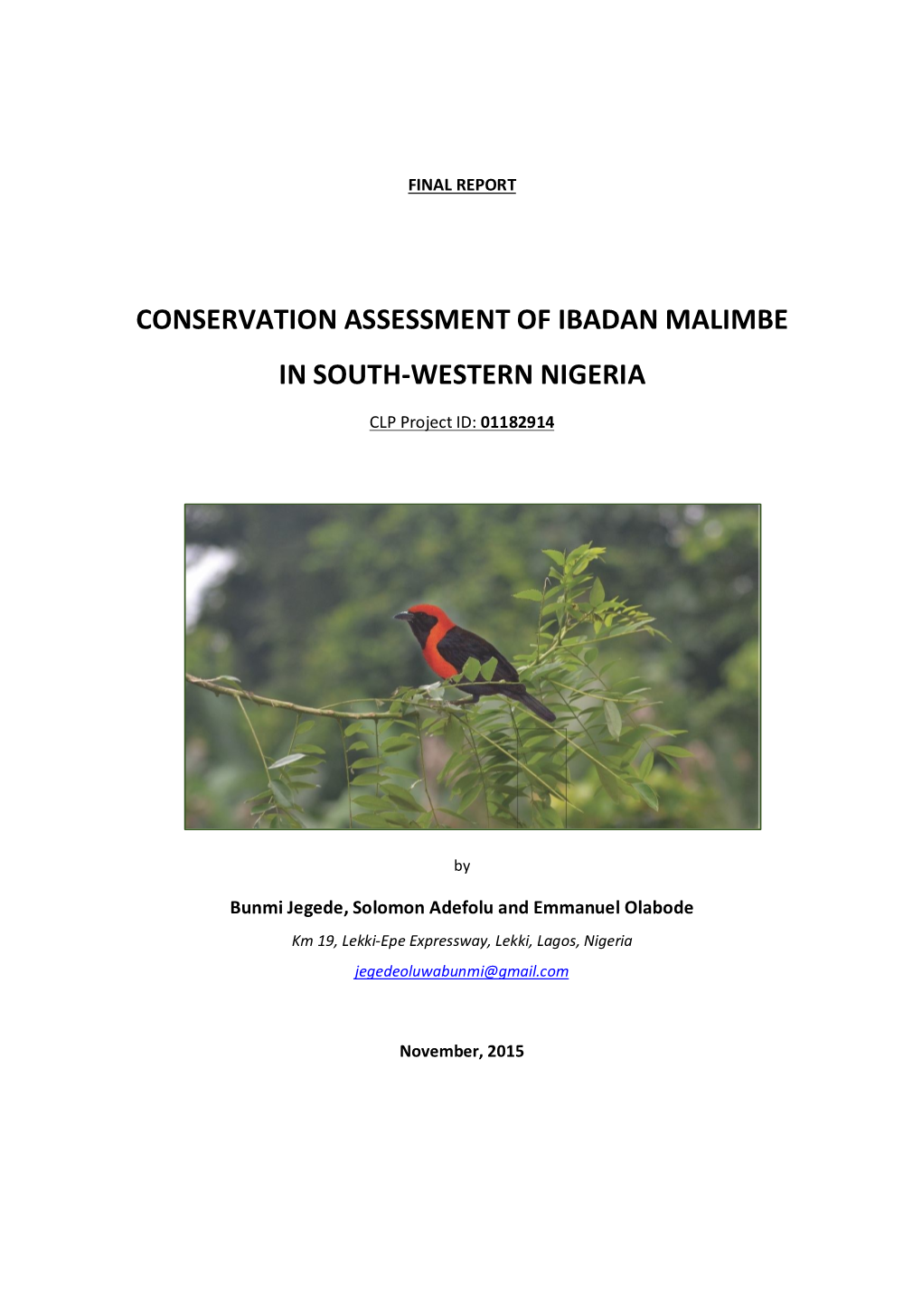 Conservation Assessment of Ibadan Malimbe in South-Western Nigeria
