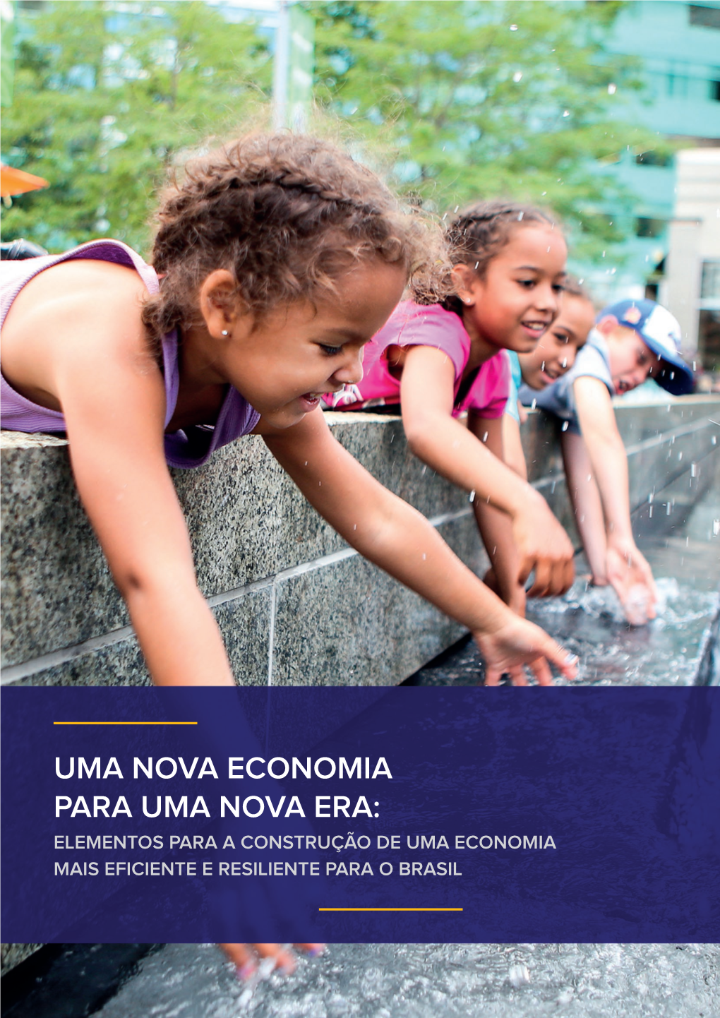 Uma Nova Economia Para Uma Nova Era: Elementos Para a Construção De Uma Economia Mais Eficiente E Resiliente Para O Brasil Coordenação