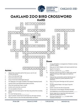 OZ Birds-Hard-Key