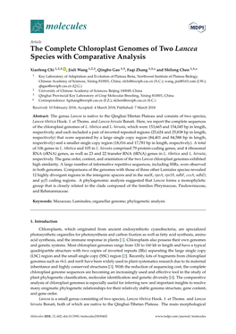 The Complete Chloroplast Genomes of Two Lancea Species with Comparative Analysis