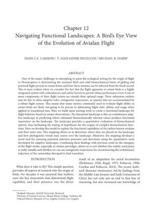 A Bird's Eye View of the Evolution of Avialan Flight