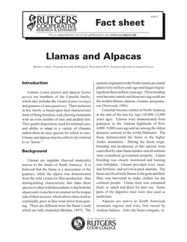 Llamas and Alpacas