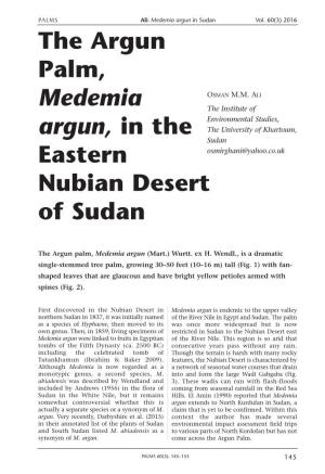 The Argun Palm, Medemia Argun, in the Eastern Nubian Desert of Sudan