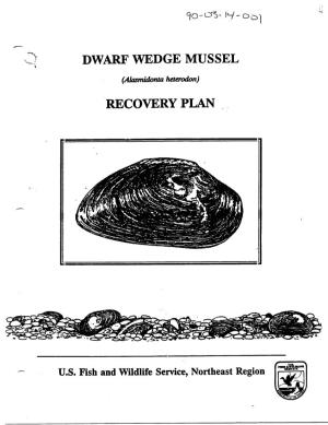 Dwarf Wedge Mussel Recovery Plan