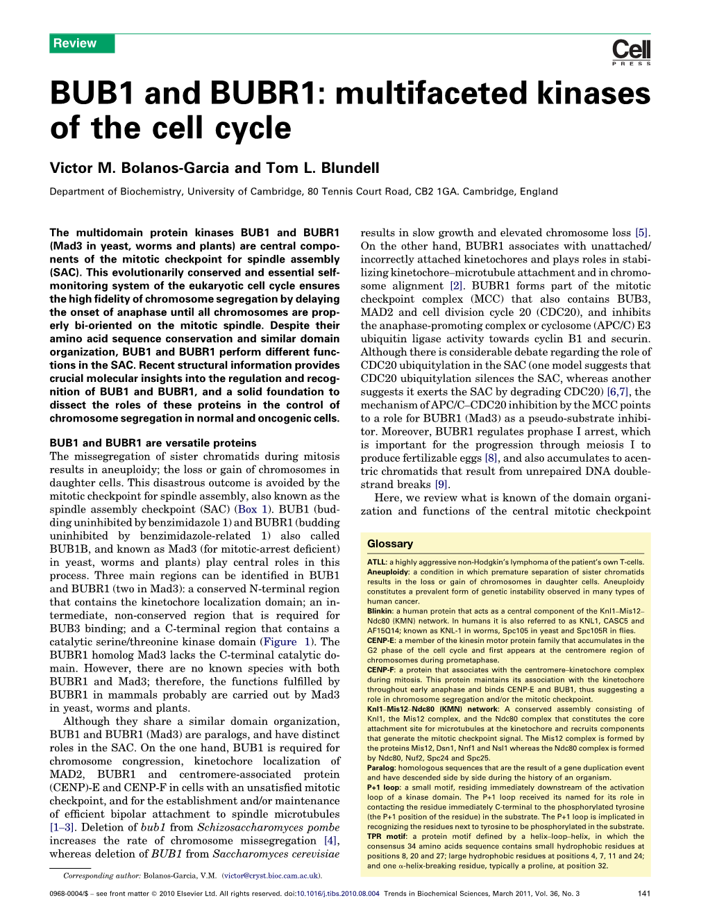 BUB1 and BUBR1: Multifaceted Kinases of the Cell Cycle
