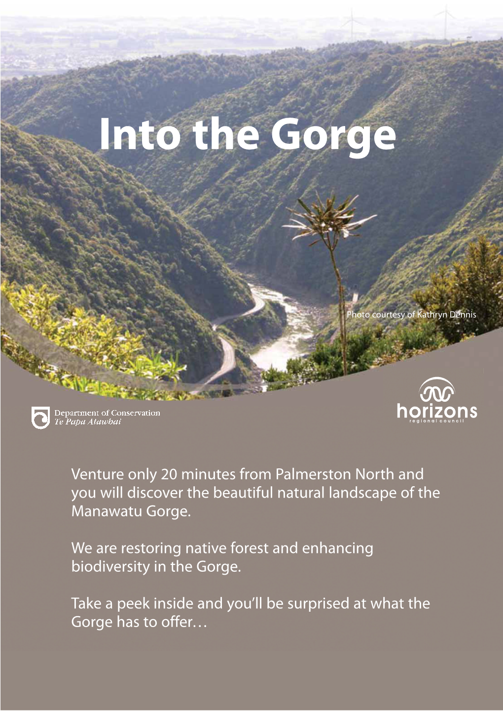 Manawatu Gorge Biodiversity Brochure