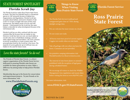 Ross Prairie State Forest Te Florida Scrub Jay Makes Ross Prairie State Forest Its Home