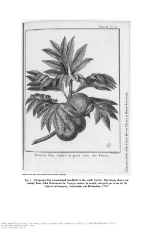 Fig. 1. Europeans First Encountered Breadfruit in the South Pacific. This Image Shows One Variety