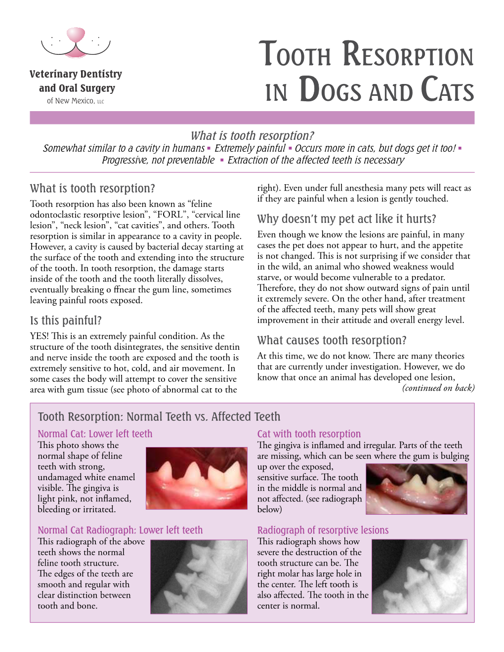 Tooth Resorption in Dogs and Cats