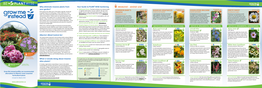 Invasive Plants from Your Guide to PLANT WISE Gardening INVASIVE - AVOID USE 4 Make Good Choices