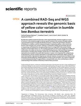 A Combined RAD-Seq and WGS Approach Reveals the Genomic