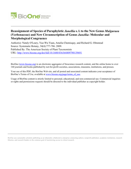 Reassignment of Species of Paraphyletic Junellia S. L. to The