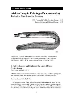 African Longfin Eel (Anguilla Mossambica) Ecological Risk Screening Summary