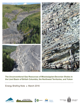 The Unconventional Gas Resources of Mississippian-Devonian Shales in the Liard Basin of British Columbia, the Northwest Territories, and Yukon