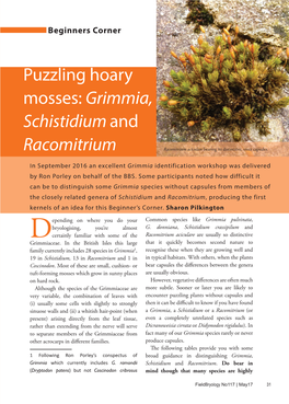 Puzzling Hoary Mosses: Grimmia, Schistidium and Racomitrium