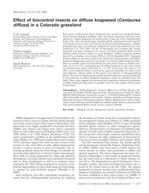 Effect of Biocontrol Insects on Diffuse Knapweed (Centaurea Diffusa) in a Colorado Grassland