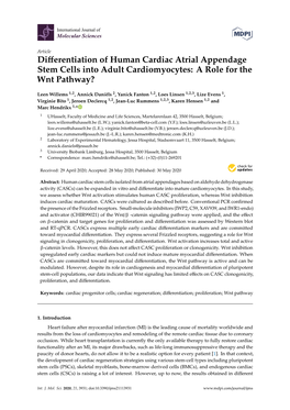 Differentiation of Human Cardiac Atrial Appendage Stem Cells Into Adult