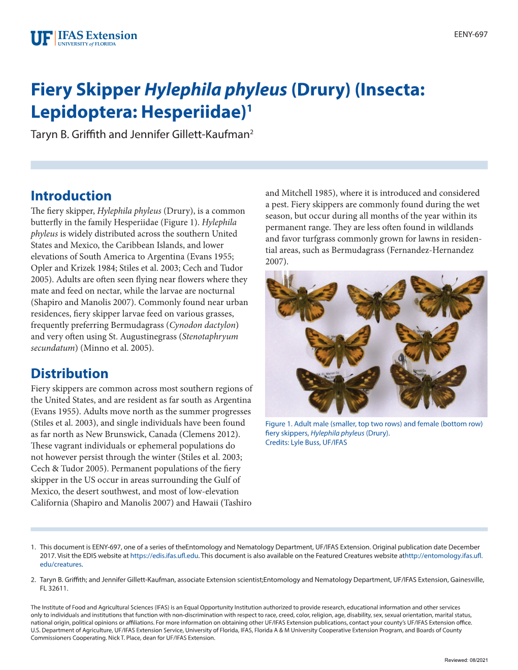 Fiery Skipper Hylephila Phyleus (Drury) (Insecta: Lepidoptera: Hesperiidae)1 Taryn B