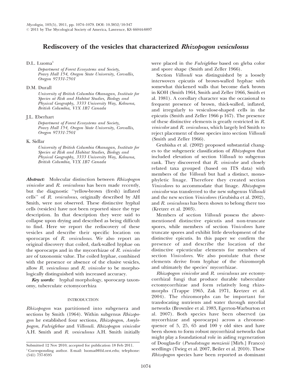 Rediscovery of the Vesicles That Characterized Rhizopogon Vesiculosus