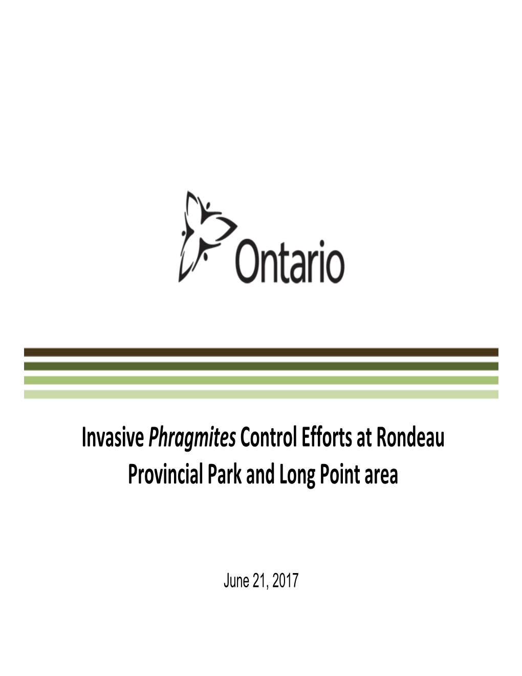 Invasive Phragmites Control Efforts at Rondeau Provincial Park and Long Point Area