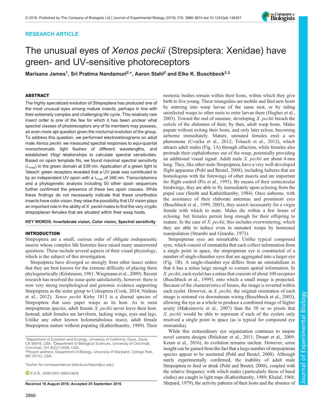 Strepsiptera: Xenidae) Have Green- and UV-Sensitive Photoreceptors Marisano James1, Sri Pratima Nandamuri2,*, Aaron Stahl2 and Elke K