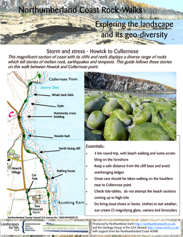 Howick to Cullernose Rock Walk