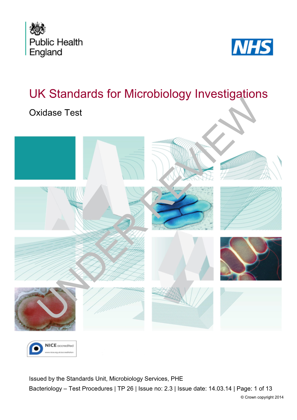 UK Standards for Microbiology Investigations