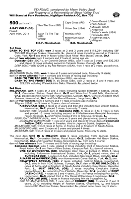 YEARLING, Consigned by Meon Valley Stud the Property of a Partnership of Meon Valley Stud Will Stand at Park Paddocks, Highflyer Paddock CC, Box 736