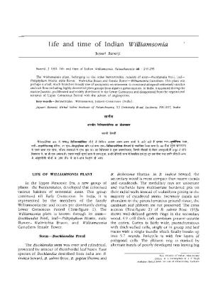 Life and Time of Indian Williamsonia