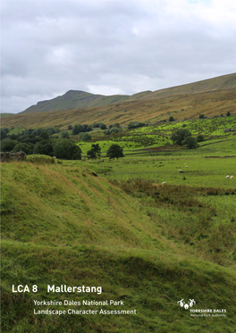 Mallerstang Yorkshire Dales National Park Landscape Character Assessment YORKSHIRE DALES NATIONAL PARK LANDSCAPE CHARACTER ASSESSMENT LANDSCAPE CHARACTER AREAS 2