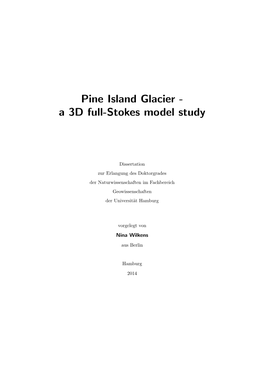 Pine Island Glacier - a 3D Full-Stokes Model Study
