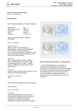 ACOT1 Polyclonal Antibody Catalog # AP68268