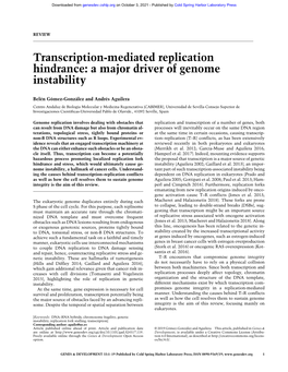 Transcription-Mediated Replication Hindrance: a Major Driver of Genome Instability