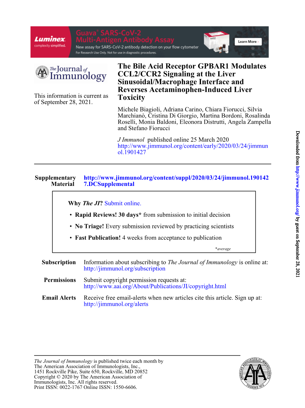 The Bile Acid Receptor GPBAR1 Modulates CCL2/CCR2 Signaling