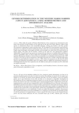 Gender Determination in the Western Marsh Harrier (Circus Aeruginosus ) Using Morphometrics and Discriminant Analysis
