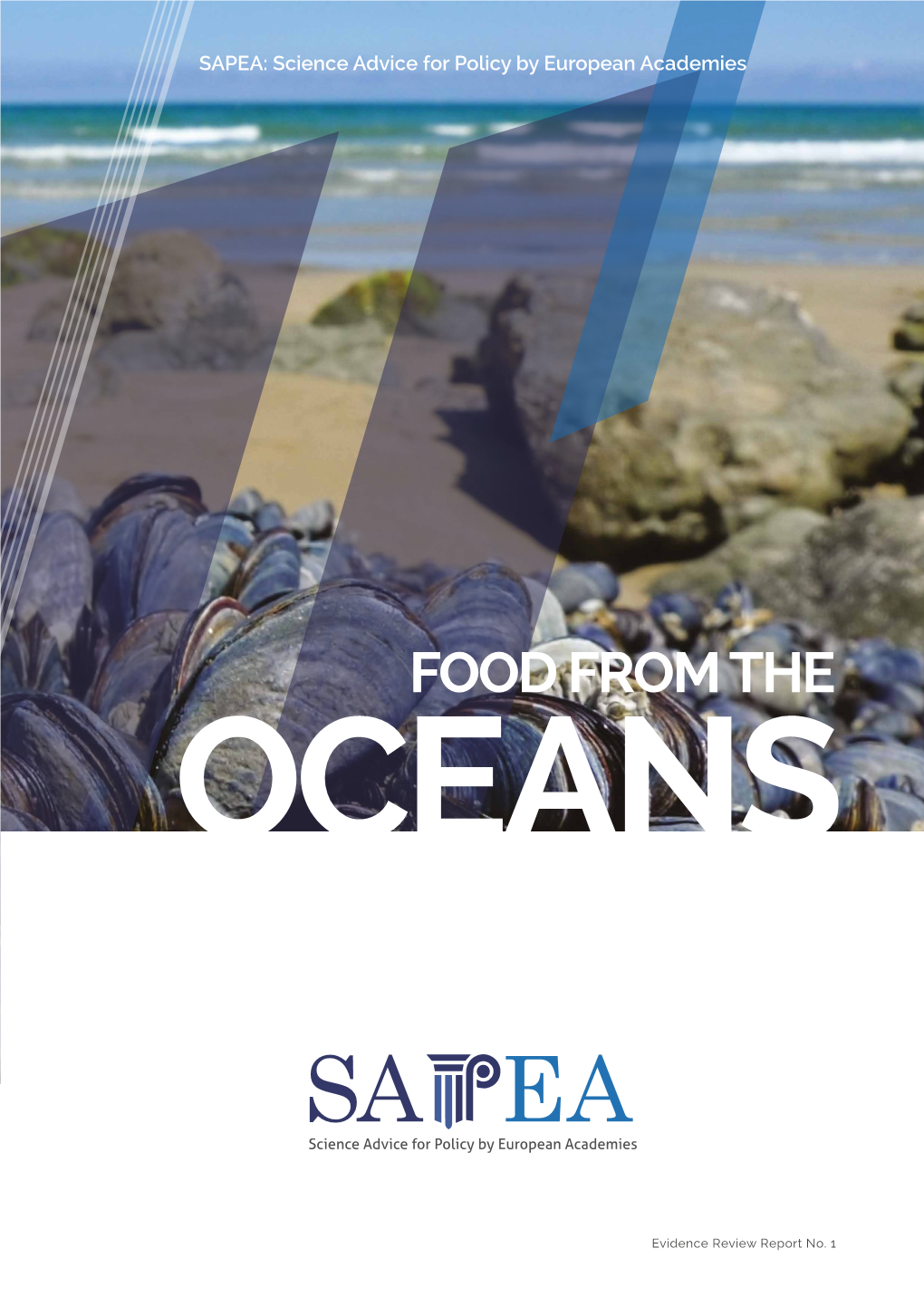 Food from the Oceans