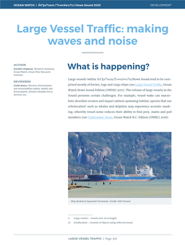 Large Vessel Traffic: Making Waves and Noise