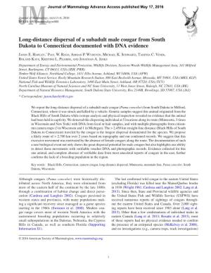 Long-Distance Dispersal of a Subadult Male Cougar from South Dakota to Connecticut Documented with DNA Evidence