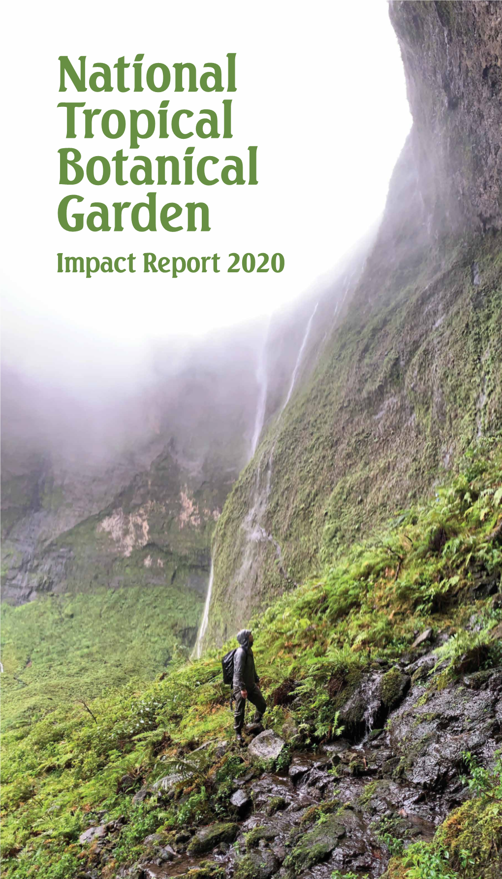 2020 Annual Report