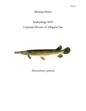 Melanie Parker Ichthyology 4453 Literature Review of Alligator