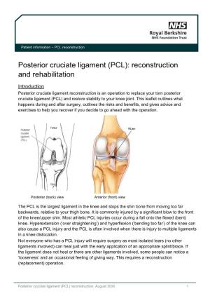 Posterior Cruciate Ligament (PCL): Reconstruction and Rehabilitation