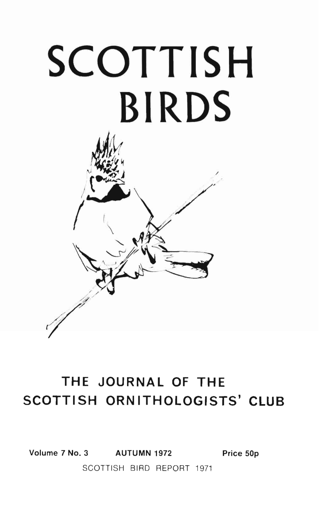 Scottish Birds