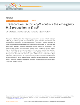 Transcription Factor Ycjw Controls the Emergency H2S Production in E. Coli