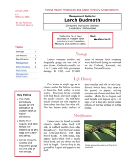 Management Guide for Larch Budmoth by Lee Pederson US Forest Service Zeiraphera Improbana (Walker) (Lepidoptera: Olethreutidae)