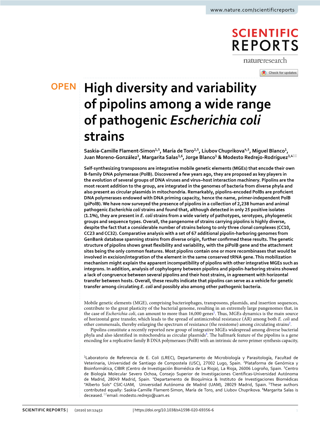 High Diversity and Variability of Pipolins Among a Wide Range Of