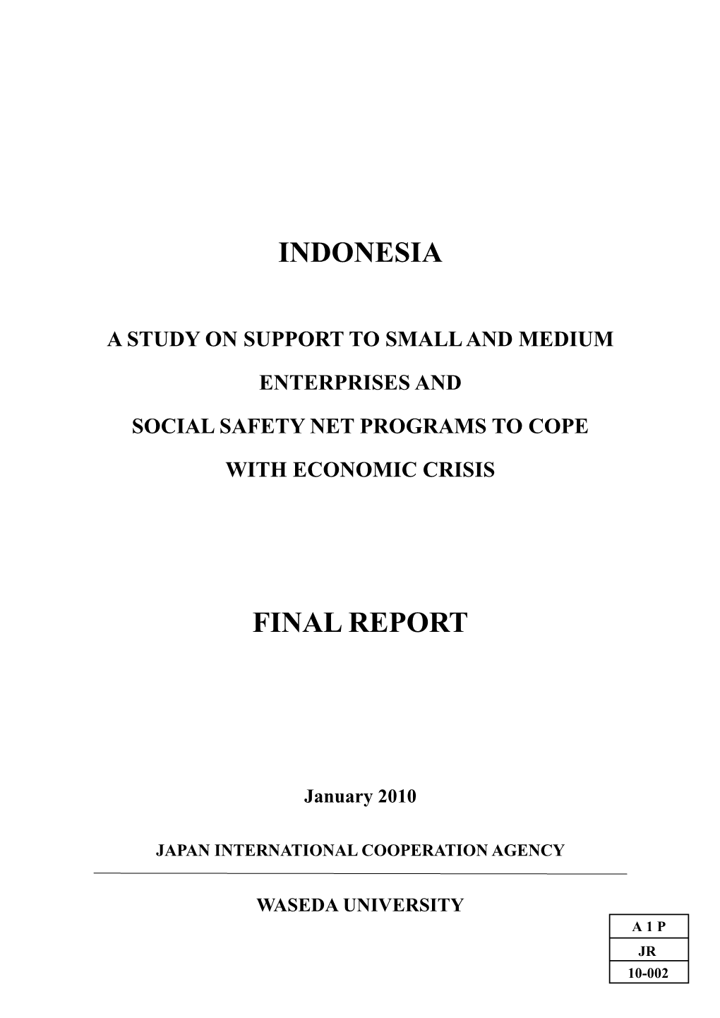 Indonesia Final Report