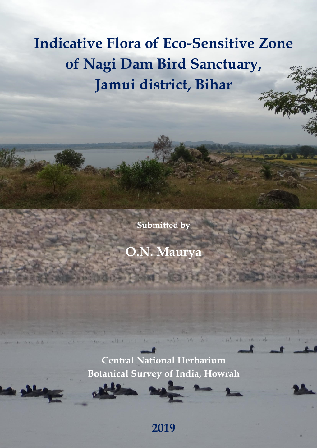 Indicative Flora of Eco-Sensitive Zone of Nagi Dam Bird Sanctuary, Jamui District, Bihar