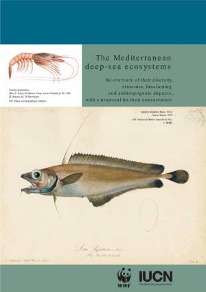 The Mediterranean Deep-Sea Ecosystems