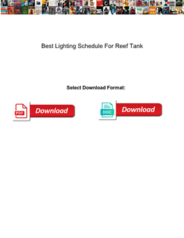 Best Lighting Schedule for Reef Tank