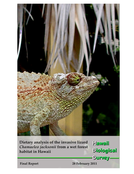 Dietary Analysis of the Invasive Lizard Chamaeleo Jacksonii from a Wet Forest Habitat in Hawaii